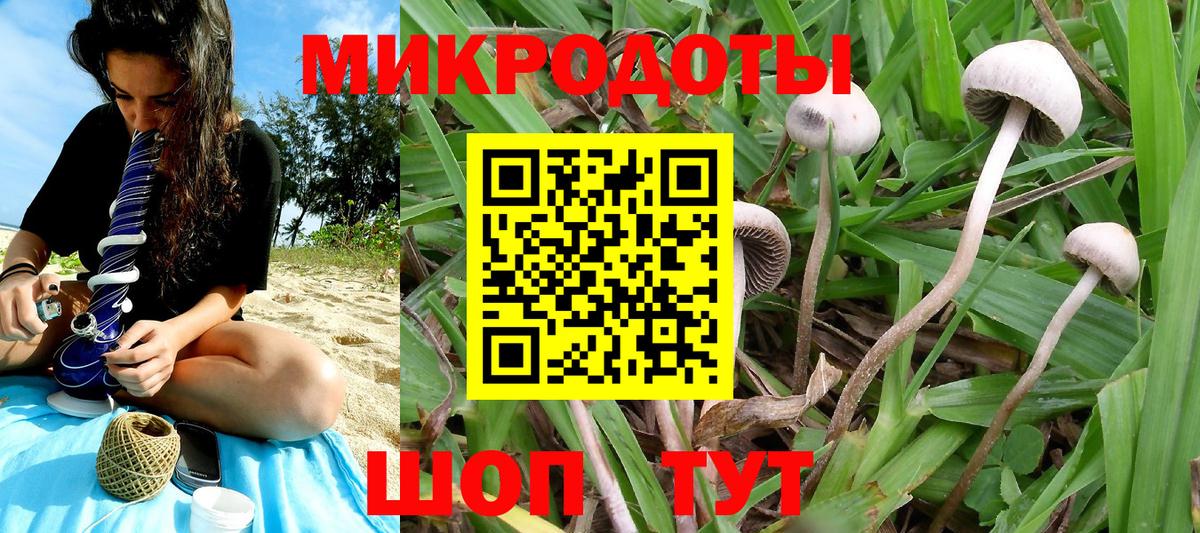 Галлюциногенные грибы Magic Shrooms  Вход с VPN  Юрга 