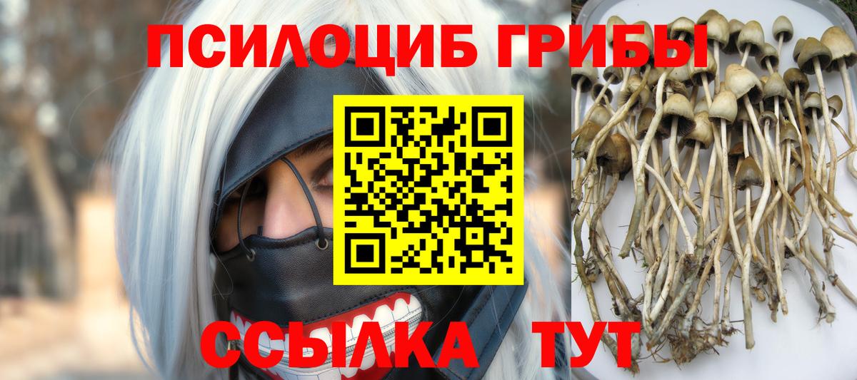 Псилоцибиновые грибы прущие грибы Юрга